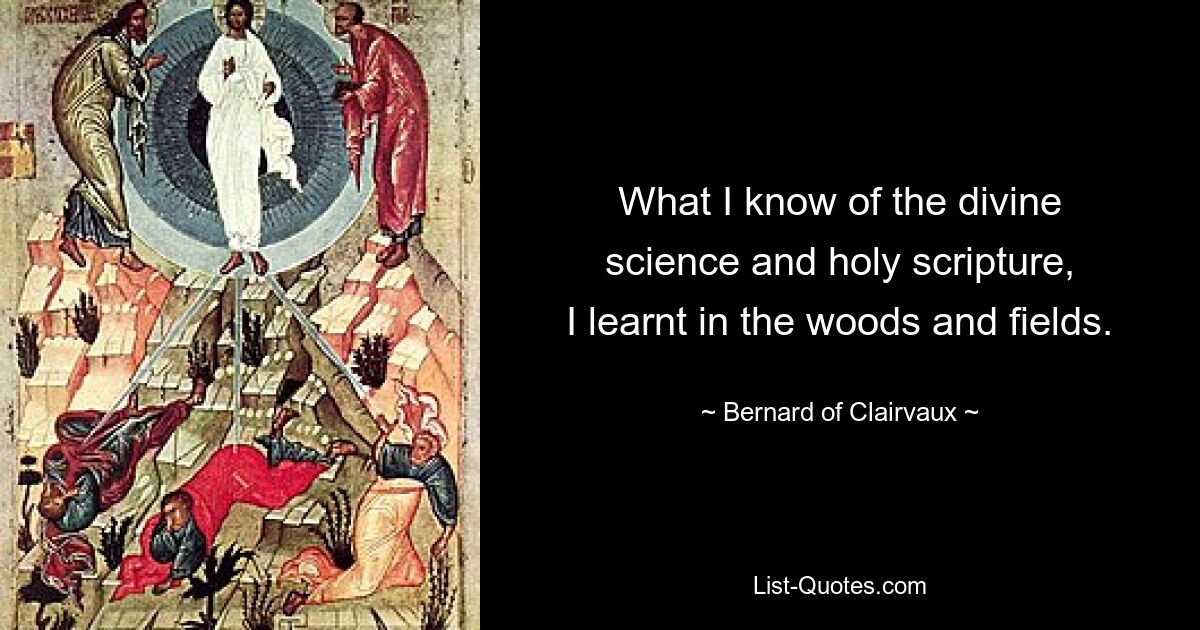 What I know of the divine
science and holy scripture,
I learnt in the woods and fields. — © Bernard of Clairvaux