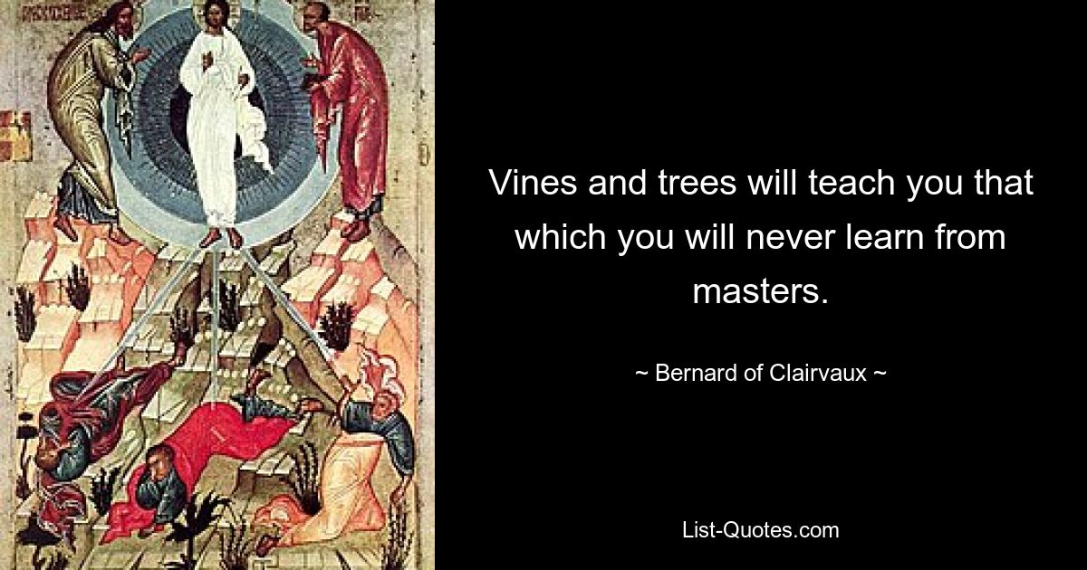 Vines and trees will teach you that which you will never learn from masters. — © Bernard of Clairvaux