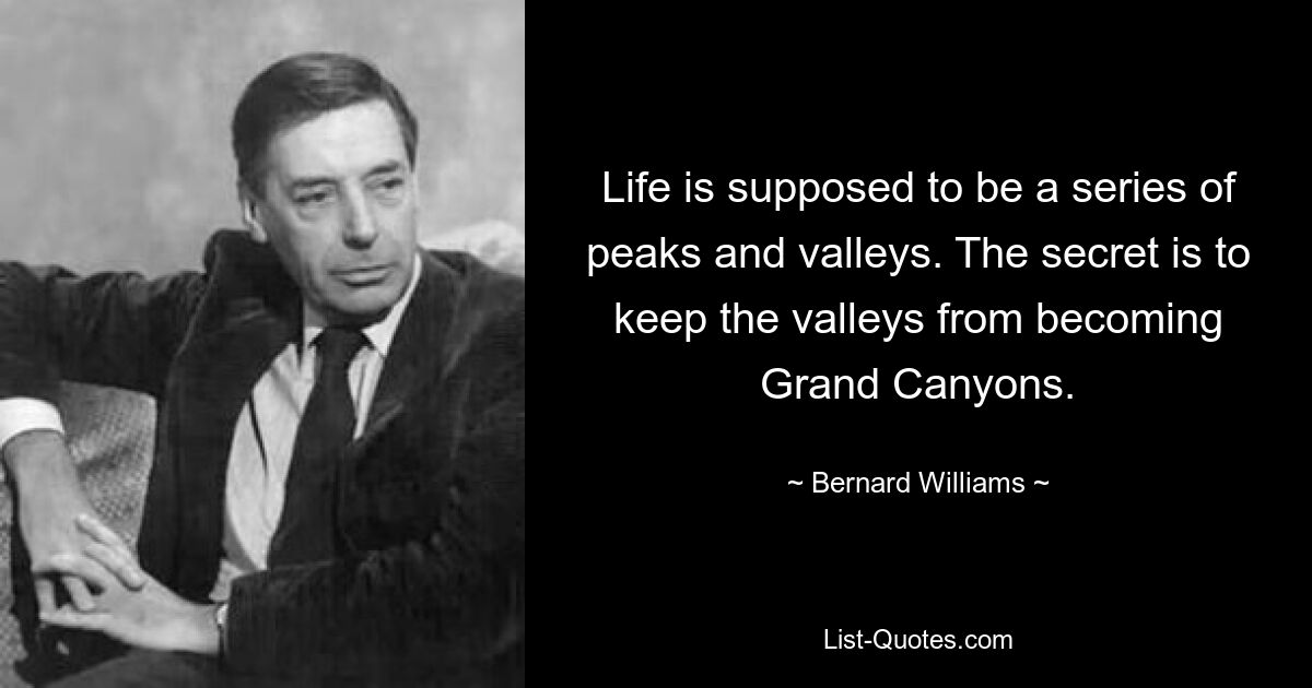 Life is supposed to be a series of peaks and valleys. The secret is to keep the valleys from becoming Grand Canyons. — © Bernard Williams