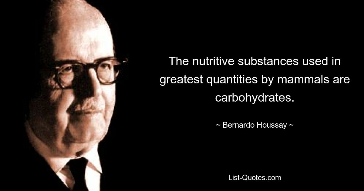 The nutritive substances used in greatest quantities by mammals are carbohydrates. — © Bernardo Houssay