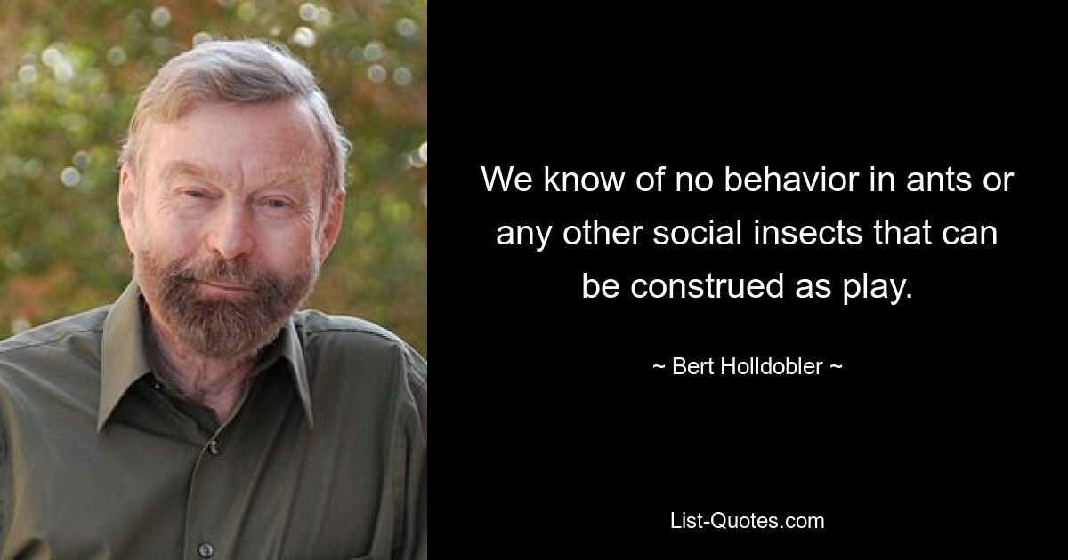 We know of no behavior in ants or any other social insects that can be construed as play. — © Bert Holldobler