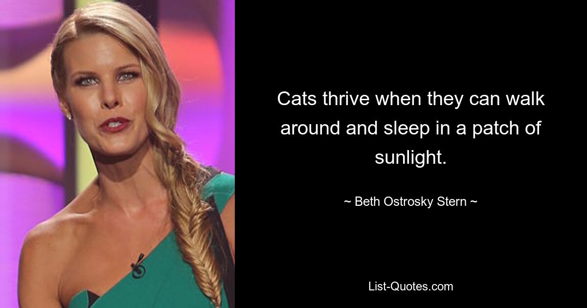 Cats thrive when they can walk around and sleep in a patch of sunlight. — © Beth Ostrosky Stern