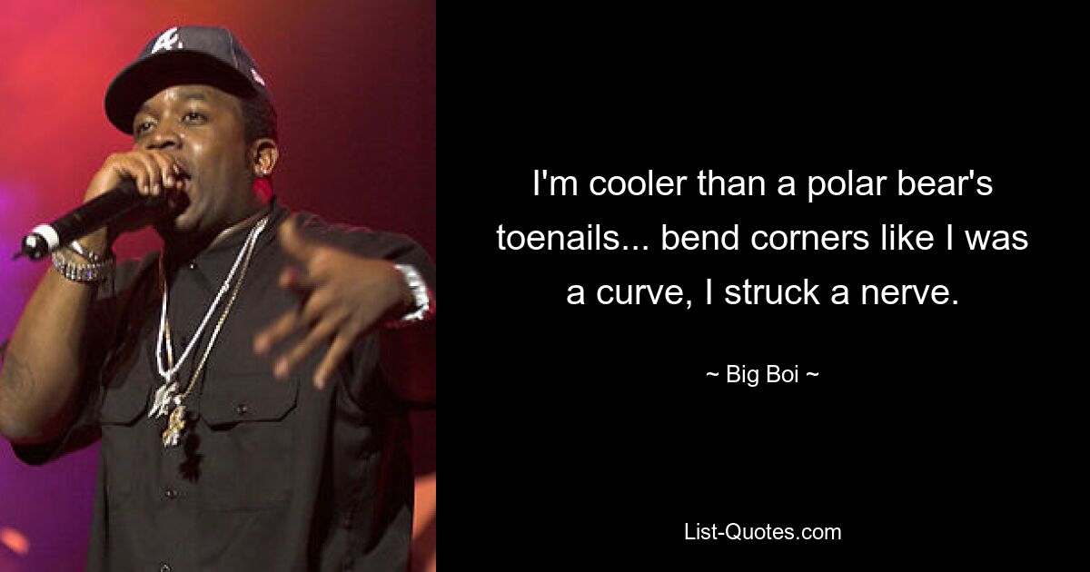 I'm cooler than a polar bear's toenails... bend corners like I was a curve, I struck a nerve. — © Big Boi