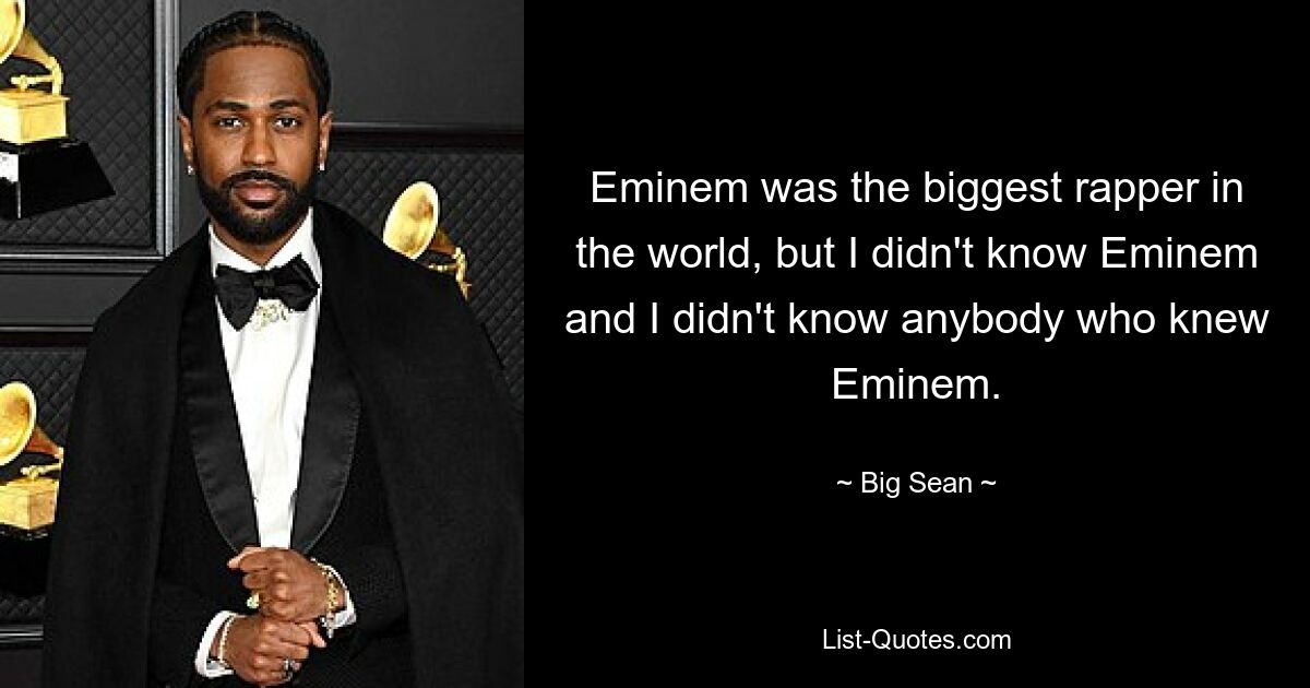 Eminem was the biggest rapper in the world, but I didn't know Eminem and I didn't know anybody who knew Eminem. — © Big Sean