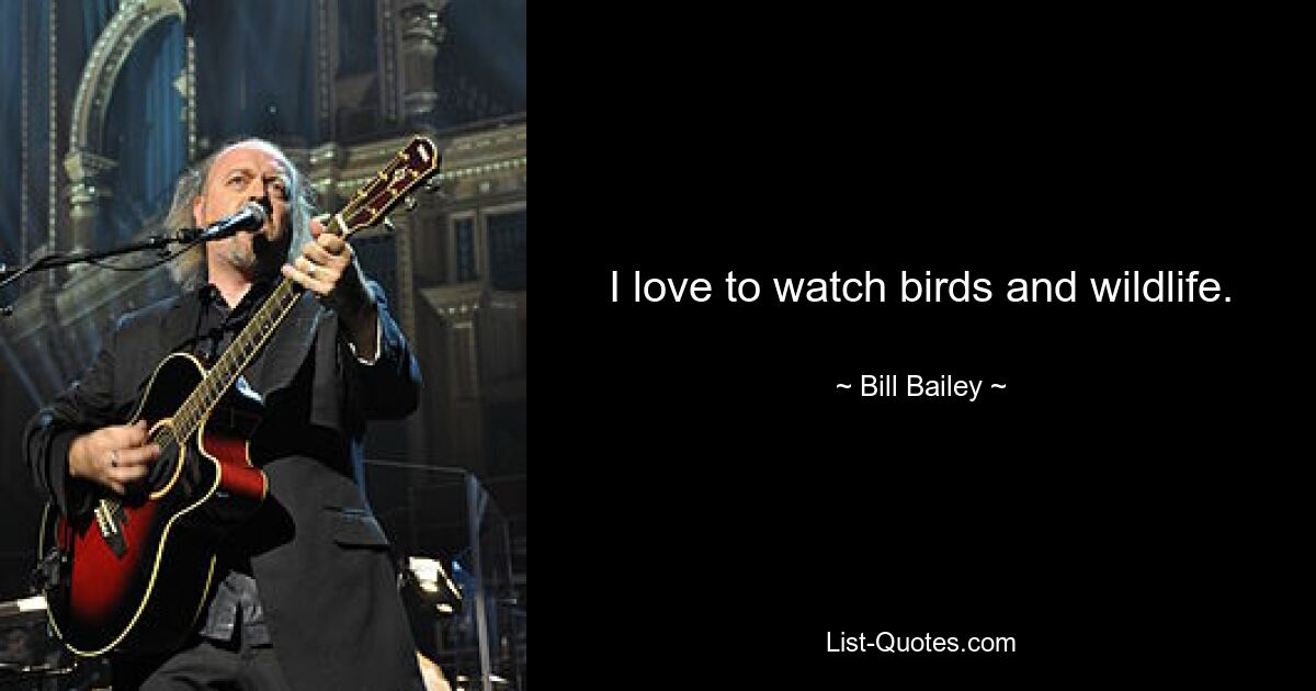 I love to watch birds and wildlife. — © Bill Bailey