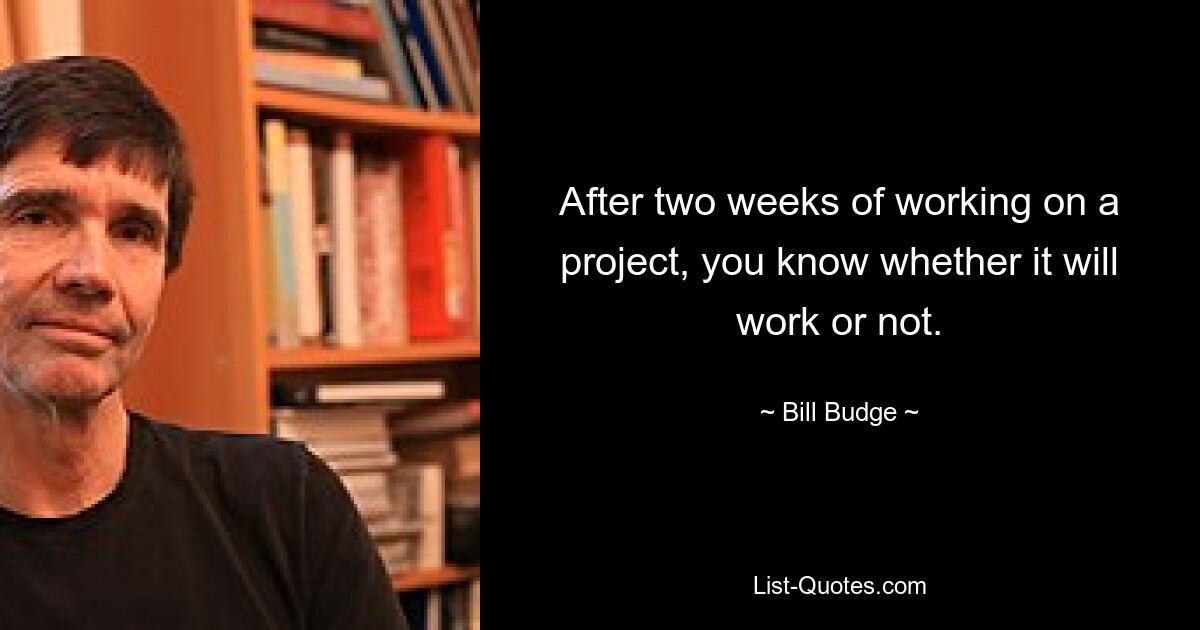 After two weeks of working on a project, you know whether it will work or not. — © Bill Budge