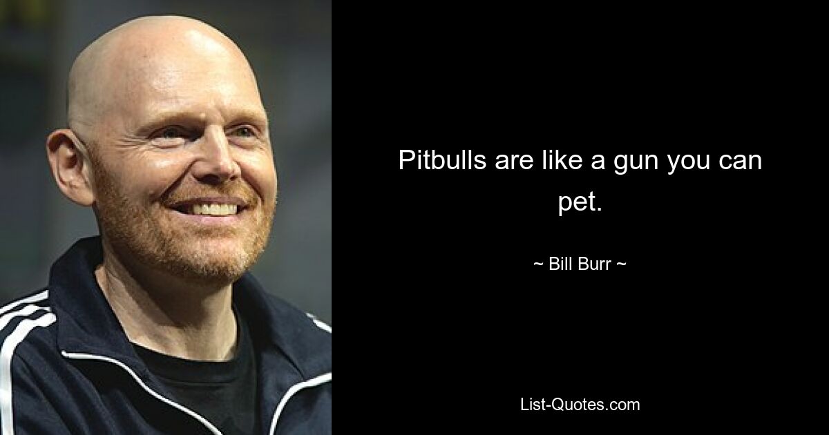 Pitbulls are like a gun you can pet. — © Bill Burr