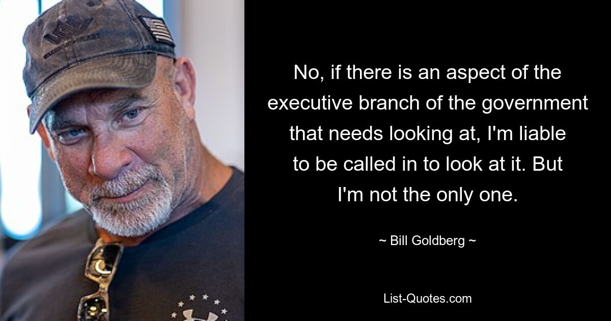 No, if there is an aspect of the executive branch of the government that needs looking at, I'm liable to be called in to look at it. But I'm not the only one. — © Bill Goldberg