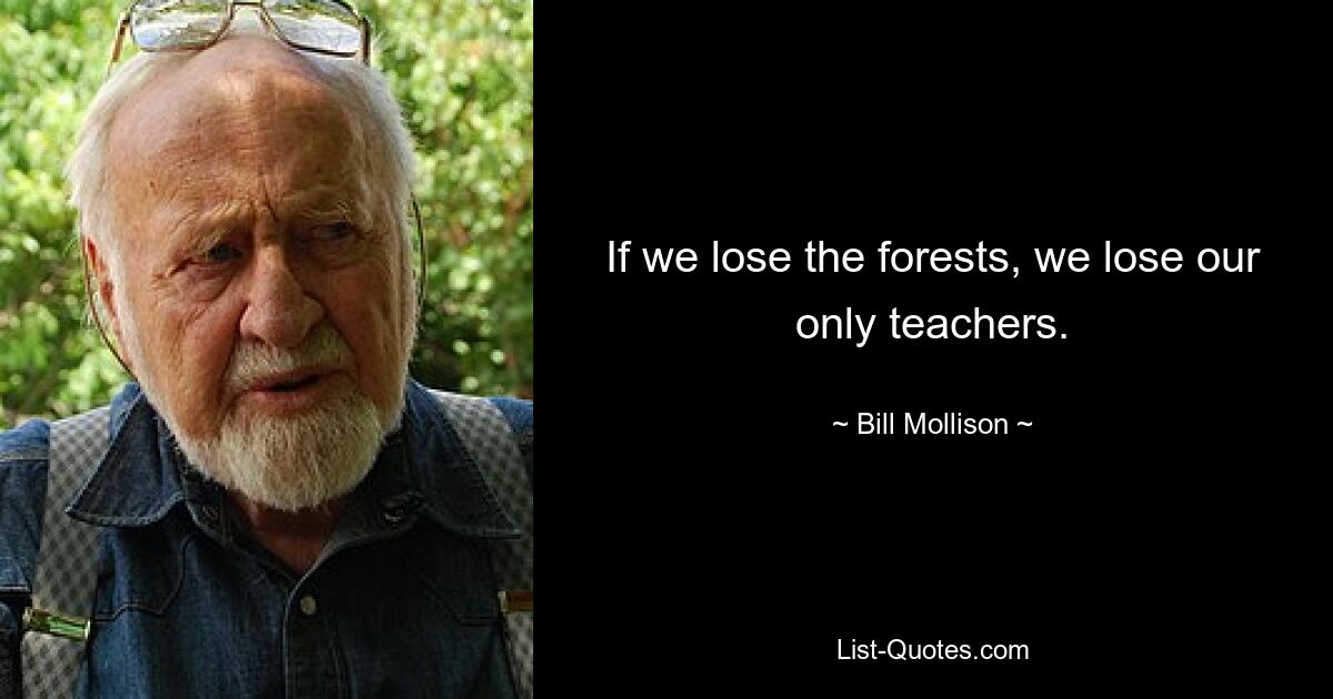 If we lose the forests, we lose our only teachers. — © Bill Mollison