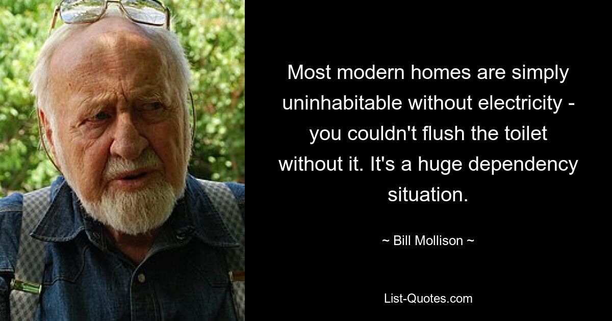 Most modern homes are simply uninhabitable without electricity - you couldn't flush the toilet without it. It's a huge dependency situation. — © Bill Mollison