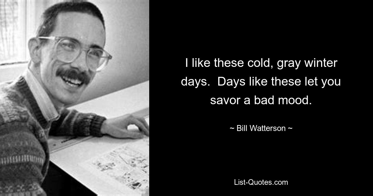 I like these cold, gray winter days.  Days like these let you savor a bad mood. — © Bill Watterson