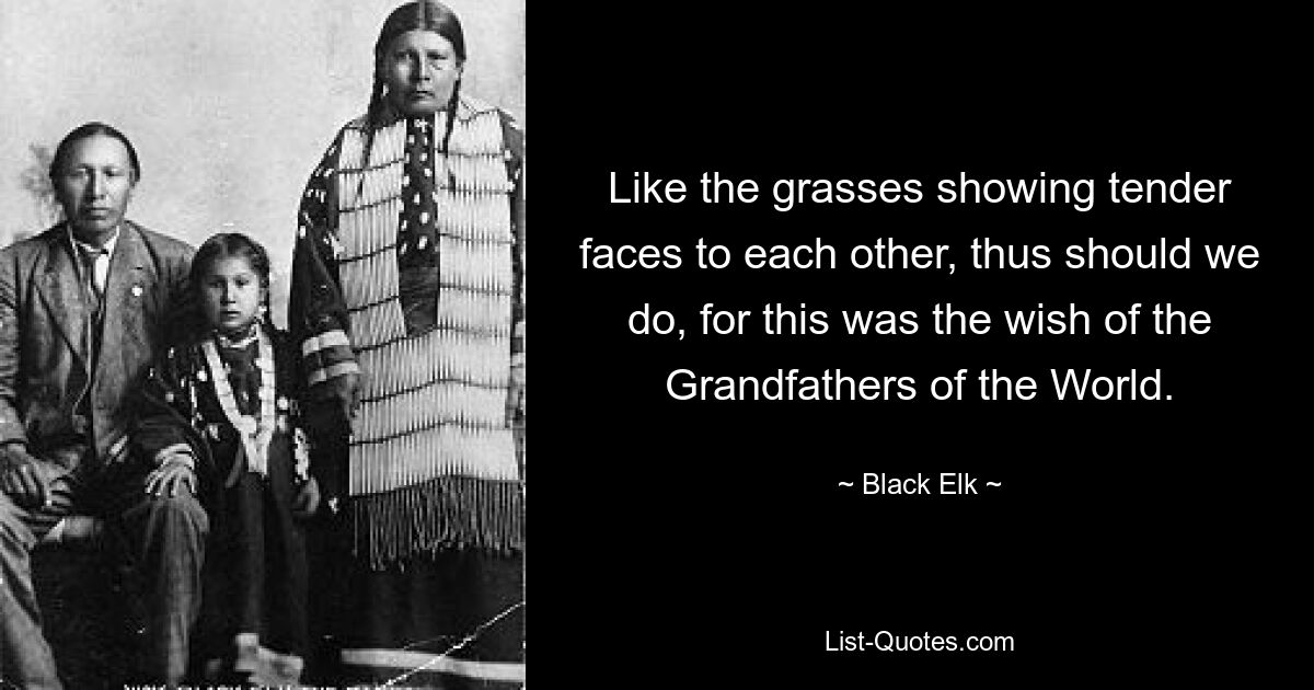 Like the grasses showing tender faces to each other, thus should we do, for this was the wish of the Grandfathers of the World. — © Black Elk