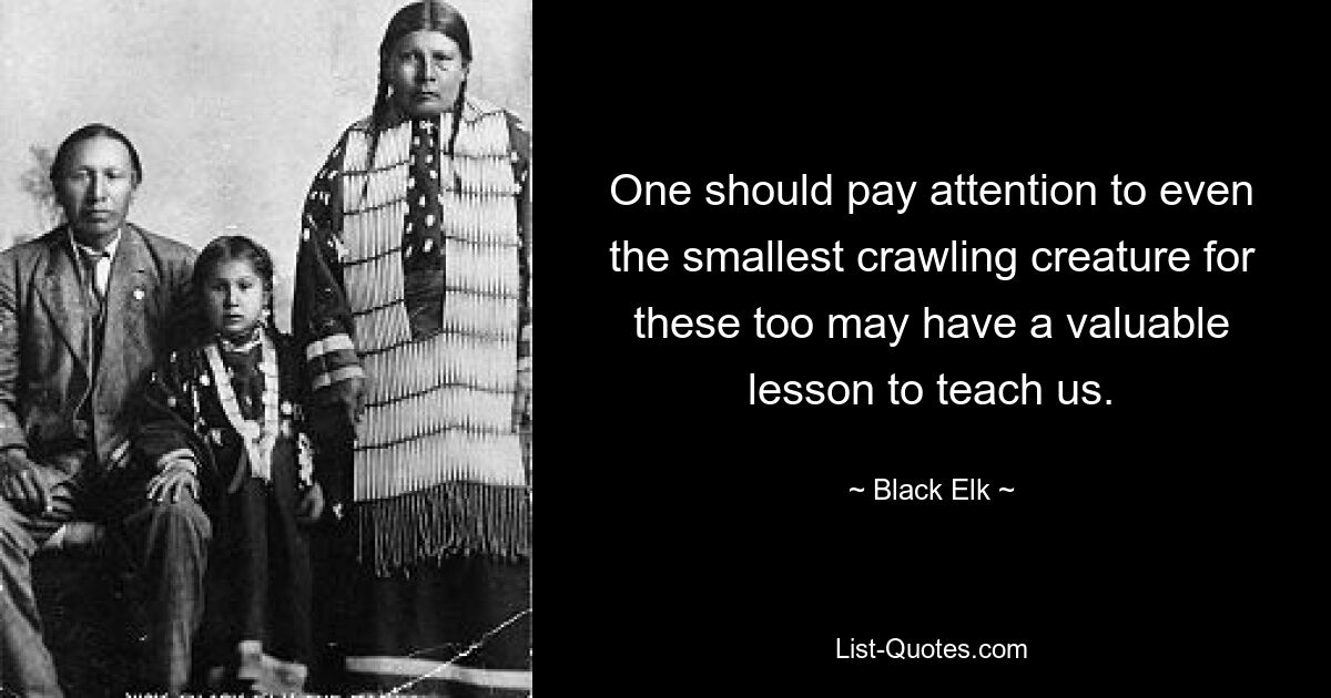 One should pay attention to even the smallest crawling creature for these too may have a valuable lesson to teach us. — © Black Elk