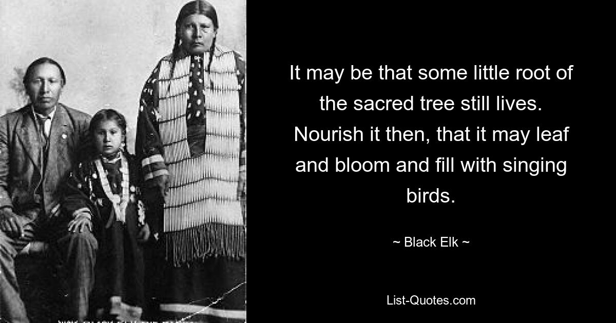 It may be that some little root of the sacred tree still lives. Nourish it then, that it may leaf and bloom and fill with singing birds. — © Black Elk