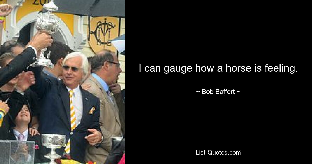 I can gauge how a horse is feeling. — © Bob Baffert