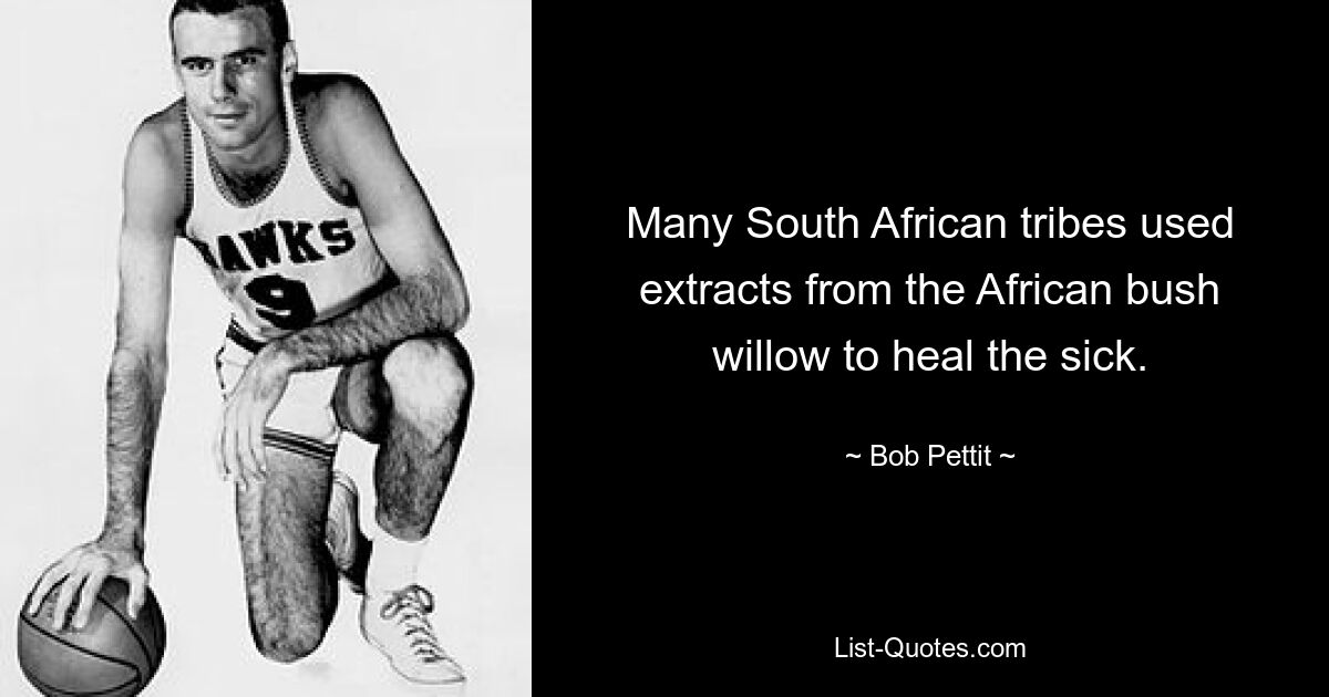 Many South African tribes used extracts from the African bush willow to heal the sick. — © Bob Pettit