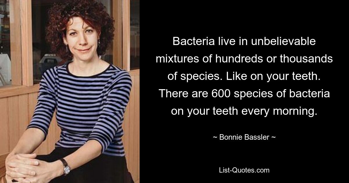 Bacteria live in unbelievable mixtures of hundreds or thousands of species. Like on your teeth. There are 600 species of bacteria on your teeth every morning. — © Bonnie Bassler