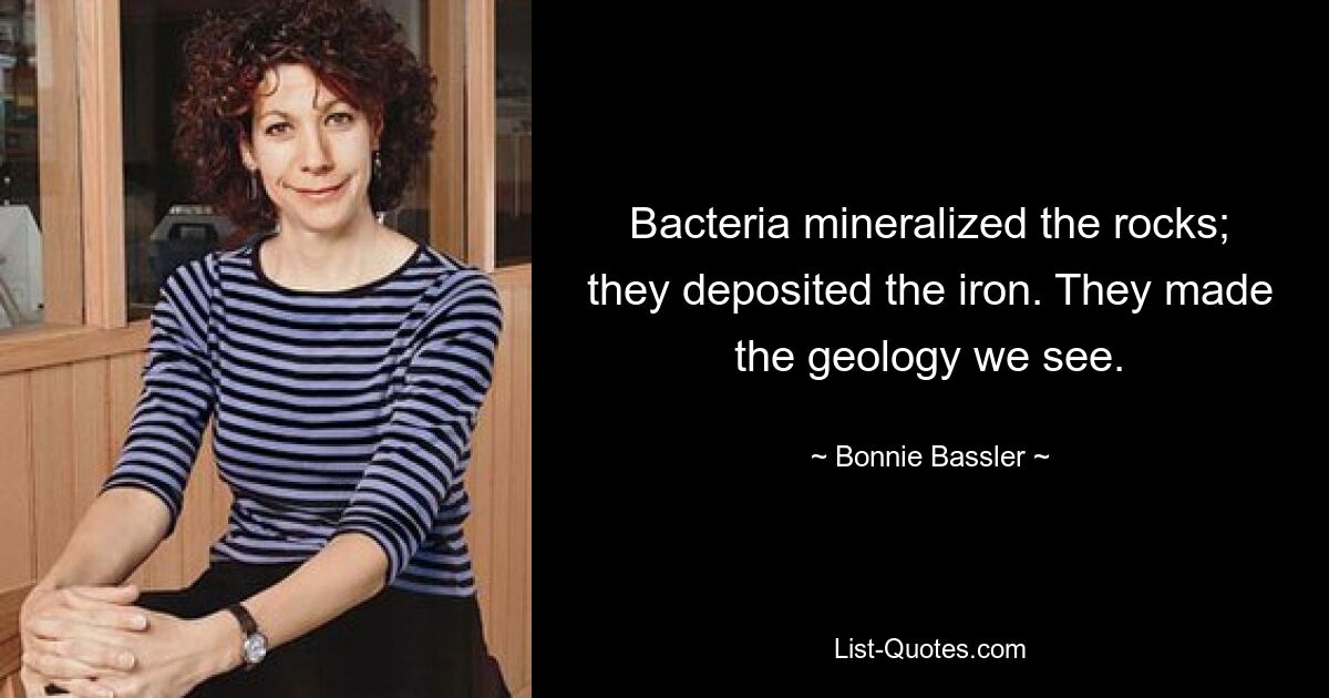 Bacteria mineralized the rocks; they deposited the iron. They made the geology we see. — © Bonnie Bassler