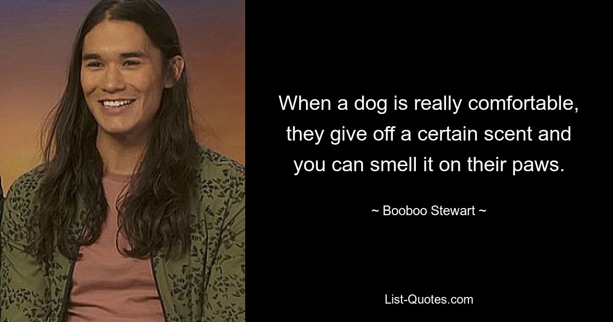 When a dog is really comfortable, they give off a certain scent and you can smell it on their paws. — © Booboo Stewart