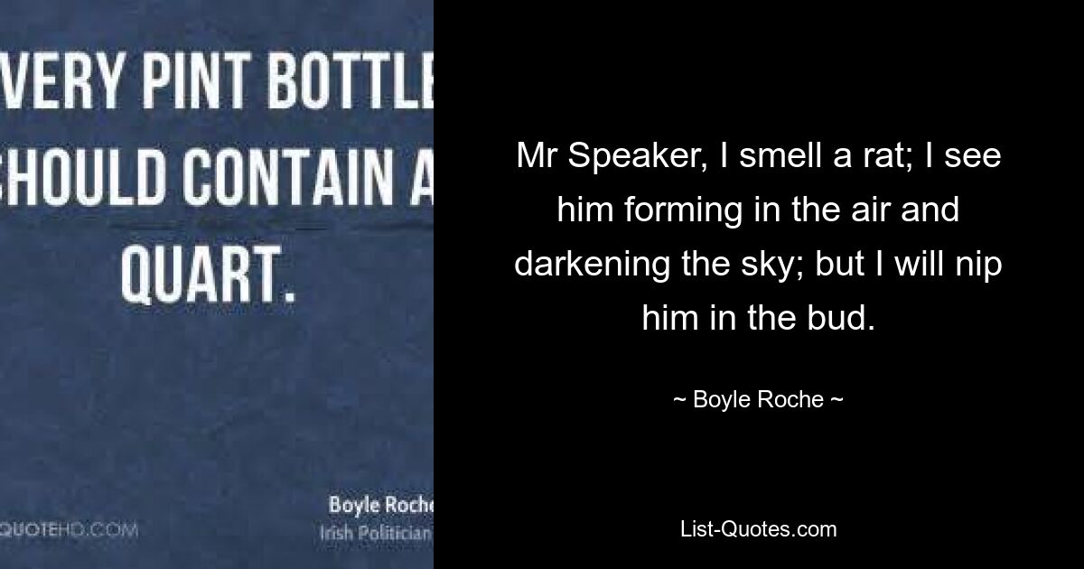 Mr Speaker, I smell a rat; I see him forming in the air and darkening the sky; but I will nip him in the bud. — © Boyle Roche