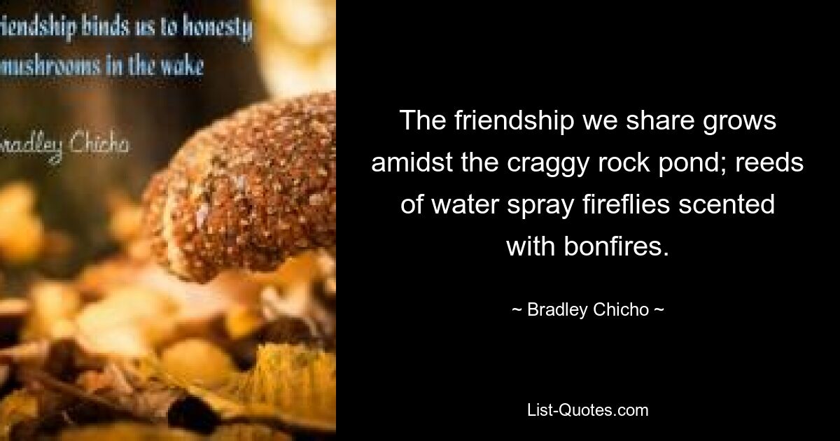 The friendship we share grows amidst the craggy rock pond; reeds of water spray fireflies scented with bonfires. — © Bradley Chicho