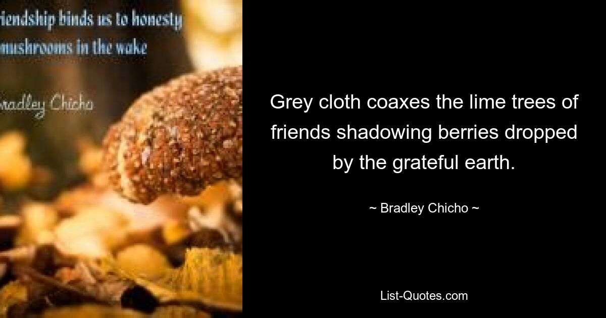 Grey cloth coaxes the lime trees of friends shadowing berries dropped by the grateful earth. — © Bradley Chicho