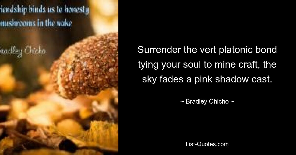 Surrender the vert platonic bond tying your soul to mine craft, the sky fades a pink shadow cast. — © Bradley Chicho