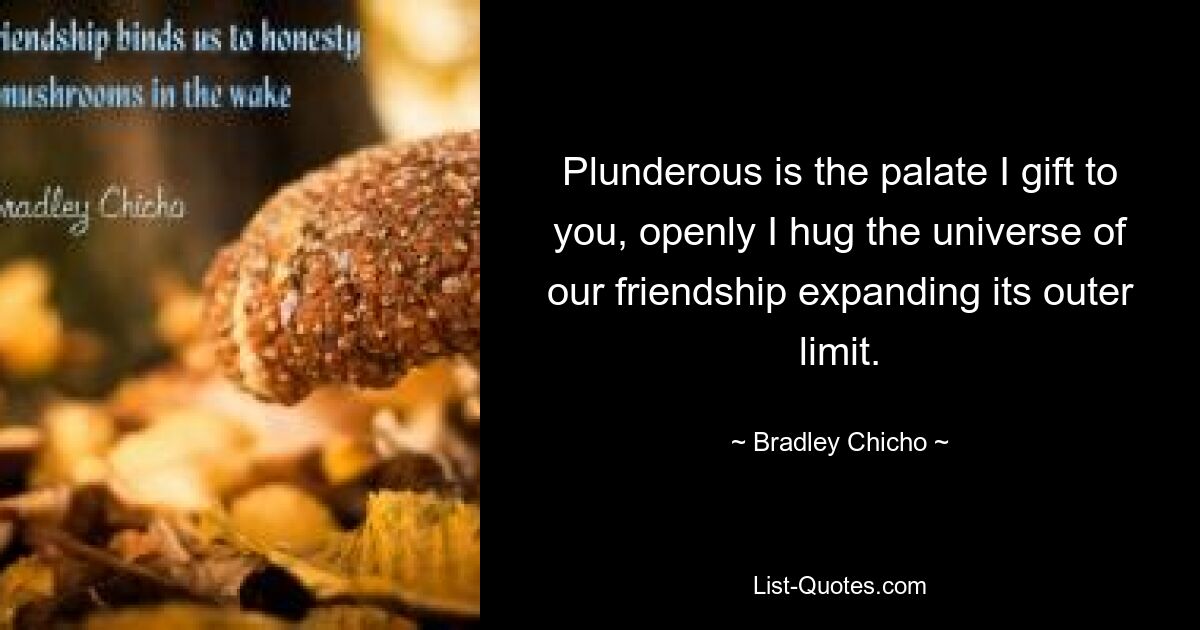 Plunderous is the palate I gift to you, openly I hug the universe of our friendship expanding its outer limit. — © Bradley Chicho