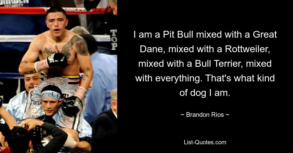 I am a Pit Bull mixed with a Great Dane, mixed with a Rottweiler, mixed with a Bull Terrier, mixed with everything. That's what kind of dog I am. — © Brandon Rios