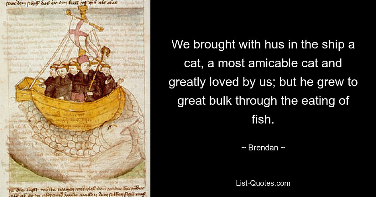 We brought with hus in the ship a cat, a most amicable cat and greatly loved by us; but he grew to great bulk through the eating of fish. — © Brendan