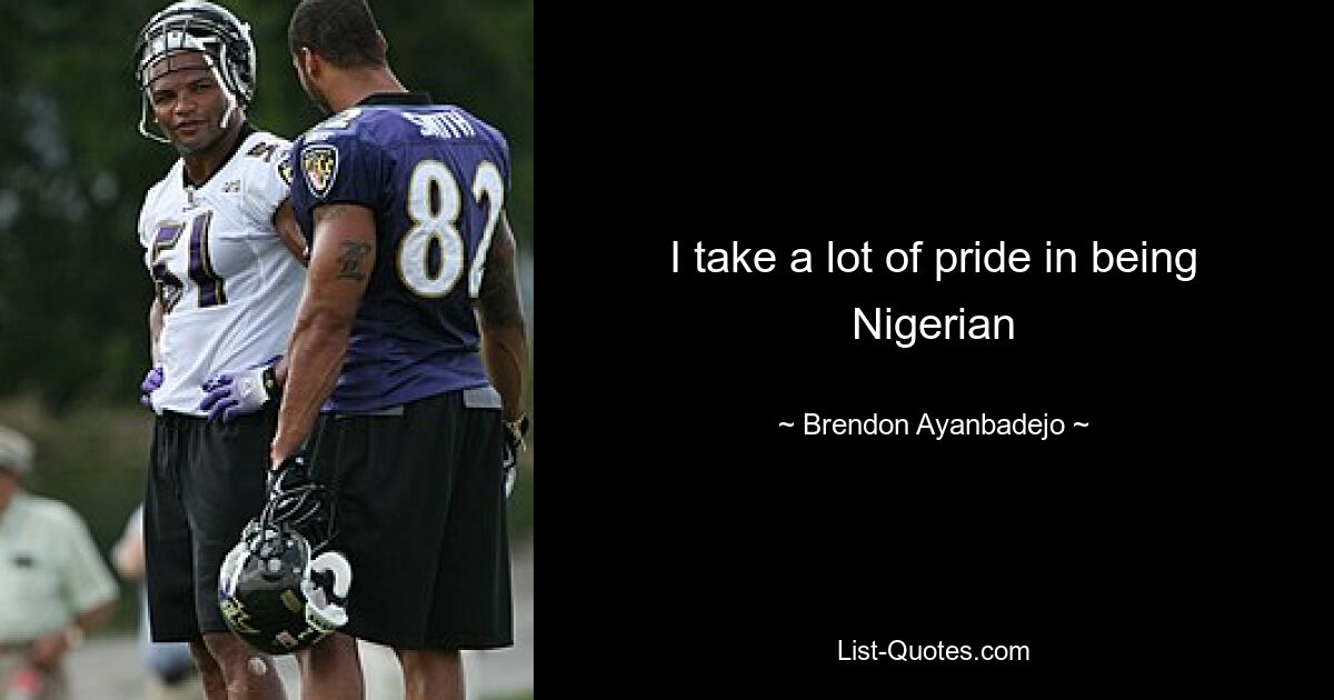 I take a lot of pride in being Nigerian — © Brendon Ayanbadejo