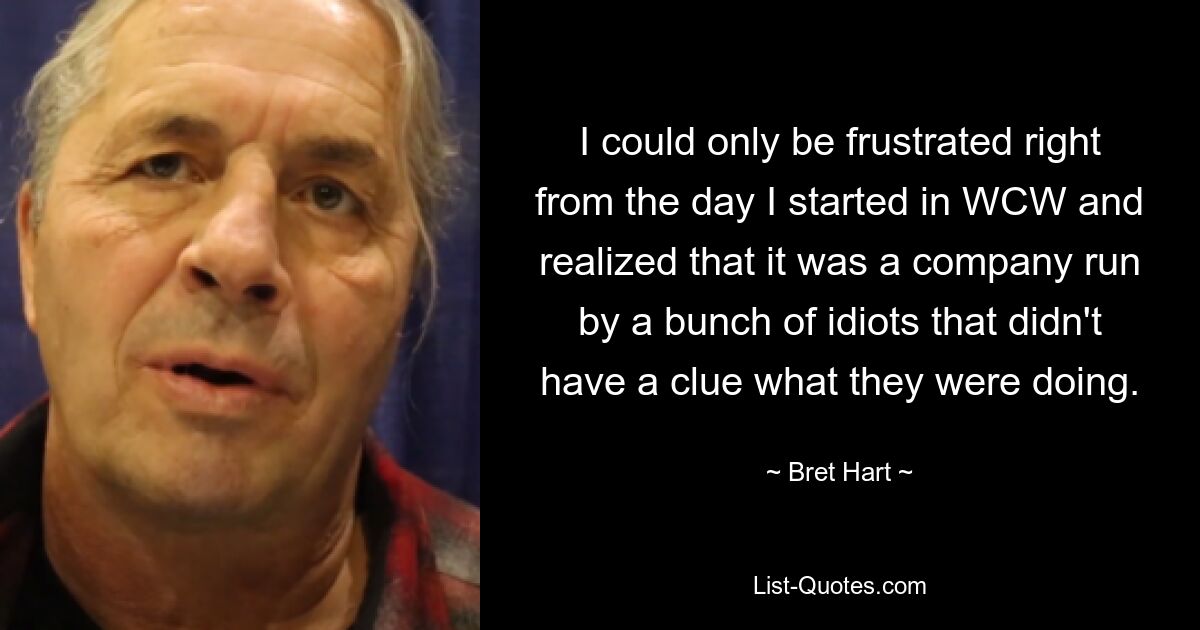 I could only be frustrated right from the day I started in WCW and realized that it was a company run by a bunch of idiots that didn't have a clue what they were doing. — © Bret Hart