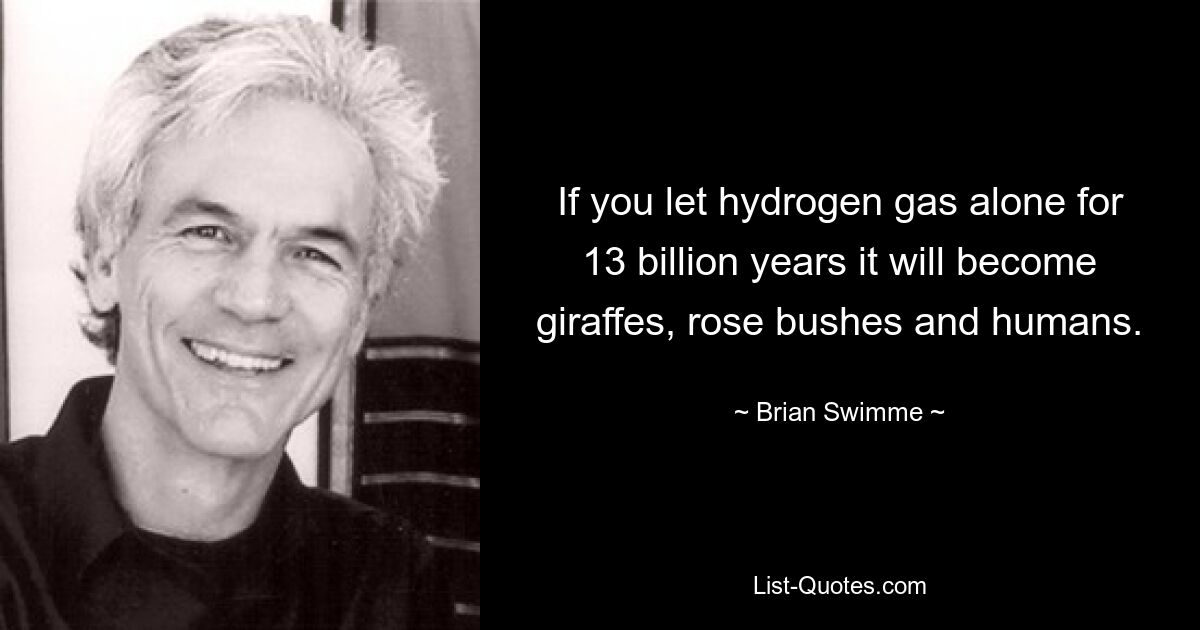 If you let hydrogen gas alone for 13 billion years it will become giraffes, rose bushes and humans. — © Brian Swimme