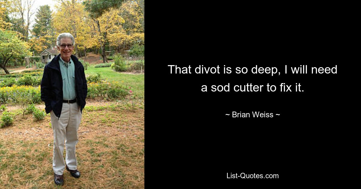 That divot is so deep, I will need a sod cutter to fix it. — © Brian Weiss