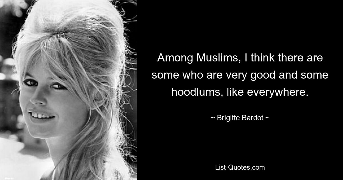 Among Muslims, I think there are some who are very good and some hoodlums, like everywhere. — © Brigitte Bardot