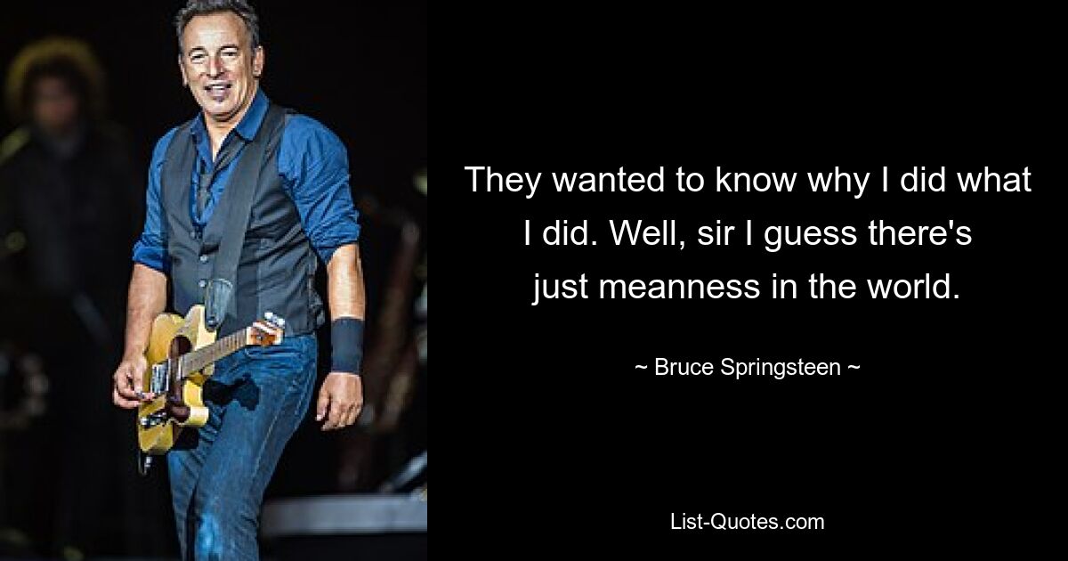 They wanted to know why I did what I did. Well, sir I guess there's just meanness in the world. — © Bruce Springsteen