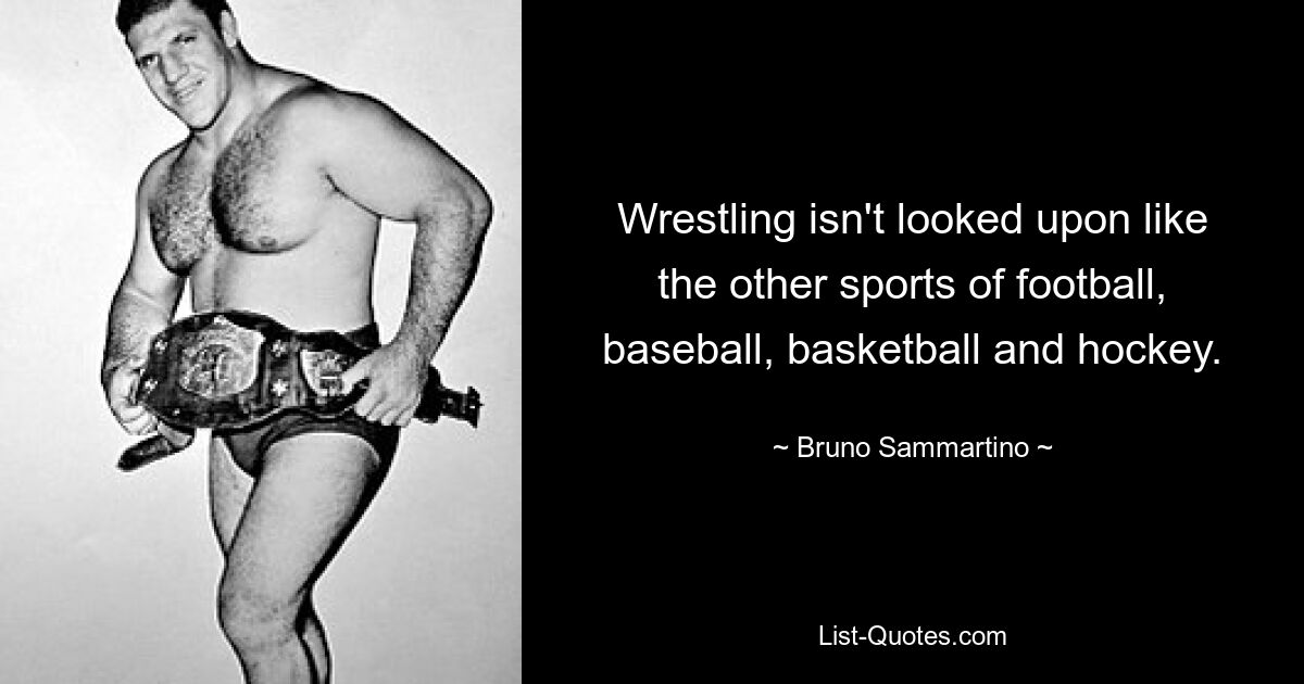 Wrestling isn't looked upon like the other sports of football, baseball, basketball and hockey. — © Bruno Sammartino