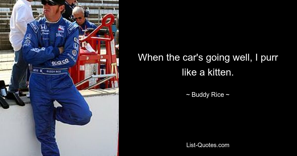 When the car's going well, I purr like a kitten. — © Buddy Rice