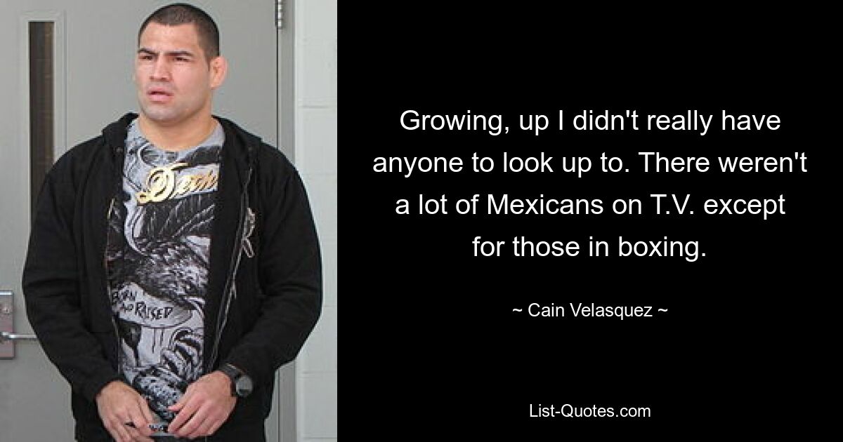 Growing, up I didn't really have anyone to look up to. There weren't a lot of Mexicans on T.V. except for those in boxing. — © Cain Velasquez