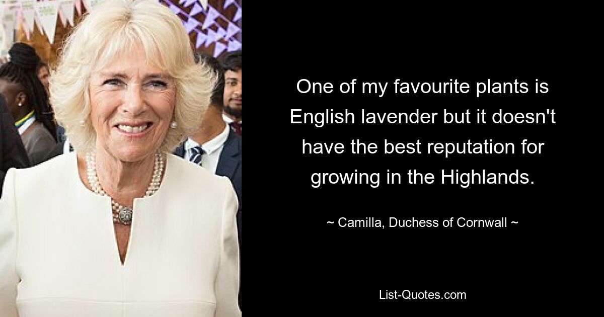 One of my favourite plants is English lavender but it doesn't have the best reputation for growing in the Highlands. — © Camilla, Duchess of Cornwall