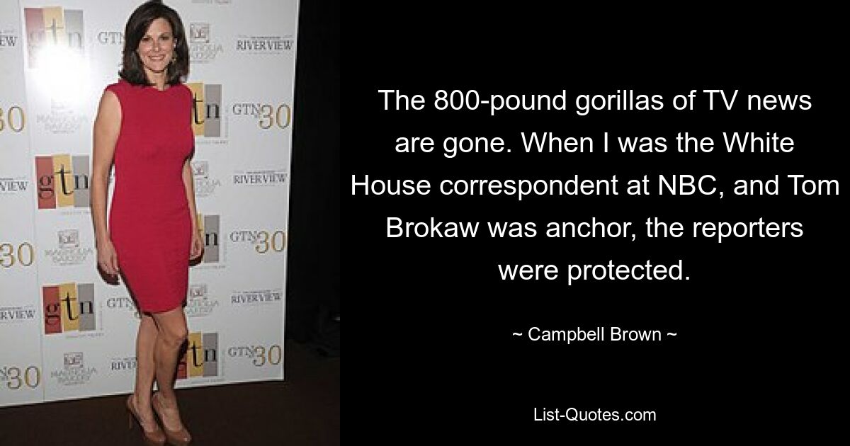 The 800-pound gorillas of TV news are gone. When I was the White House correspondent at NBC, and Tom Brokaw was anchor, the reporters were protected. — © Campbell Brown