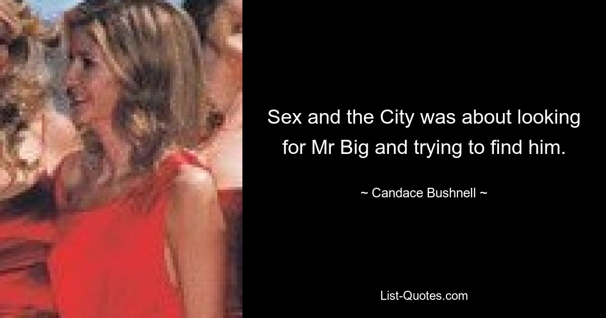 Sex and the City was about looking for Mr Big and trying to find him. — © Candace Bushnell