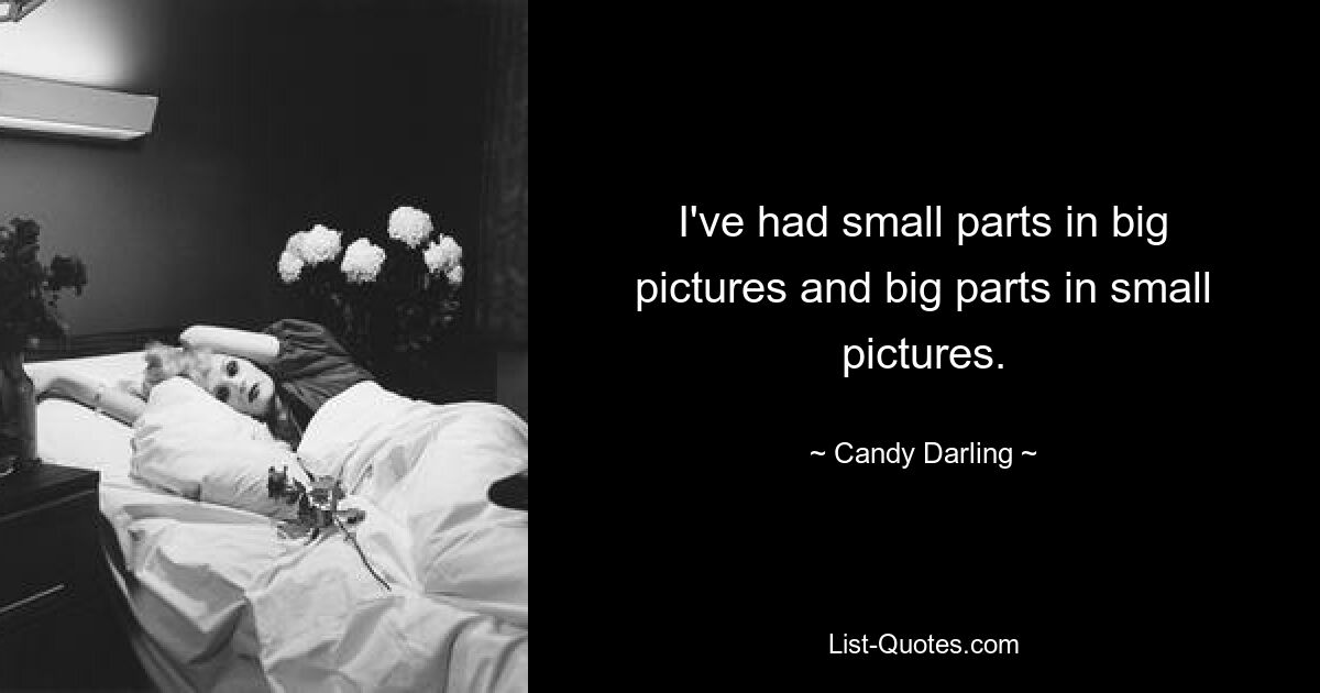 I've had small parts in big pictures and big parts in small pictures. — © Candy Darling