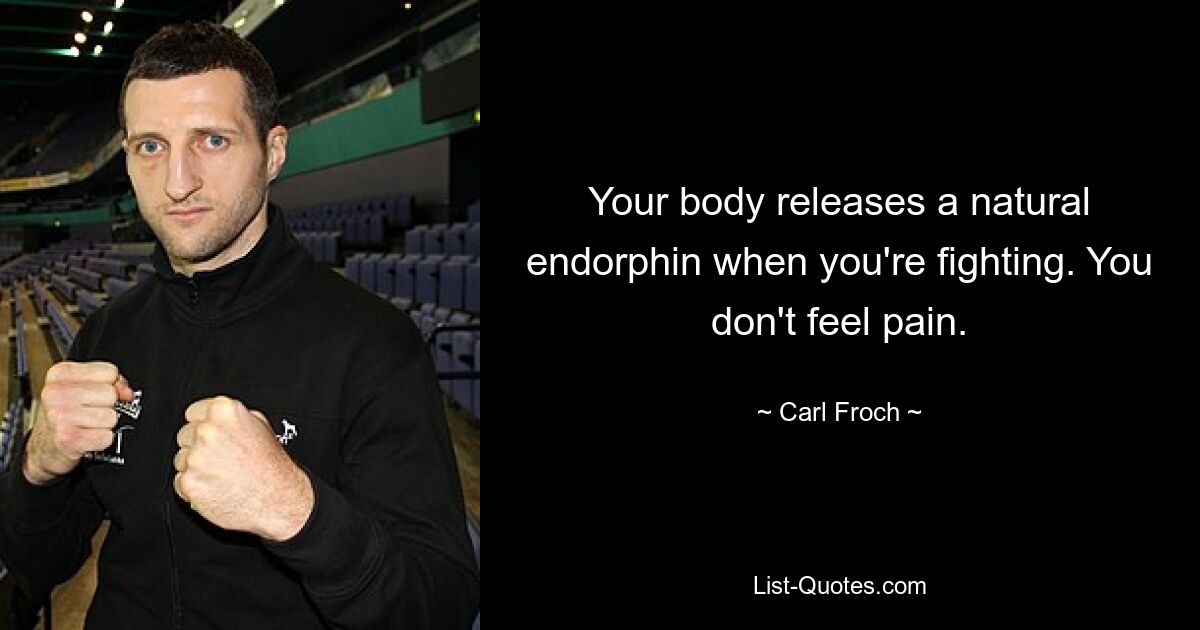 Your body releases a natural endorphin when you're fighting. You don't feel pain. — © Carl Froch