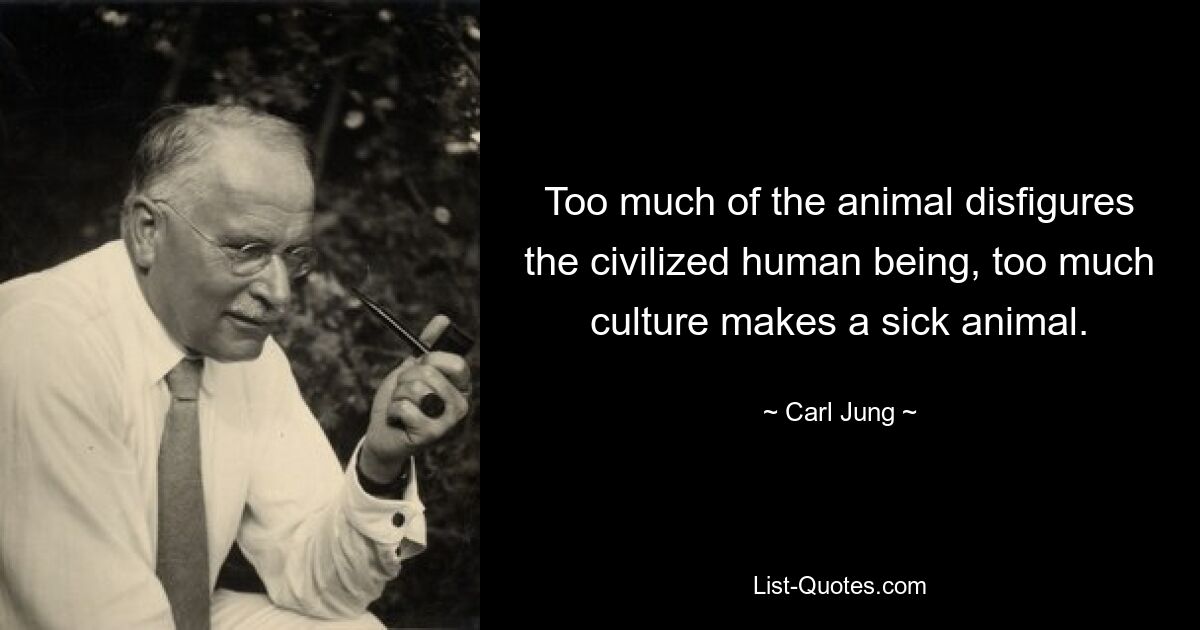 Too much of the animal disfigures the civilized human being, too much culture makes a sick animal. — © Carl Jung