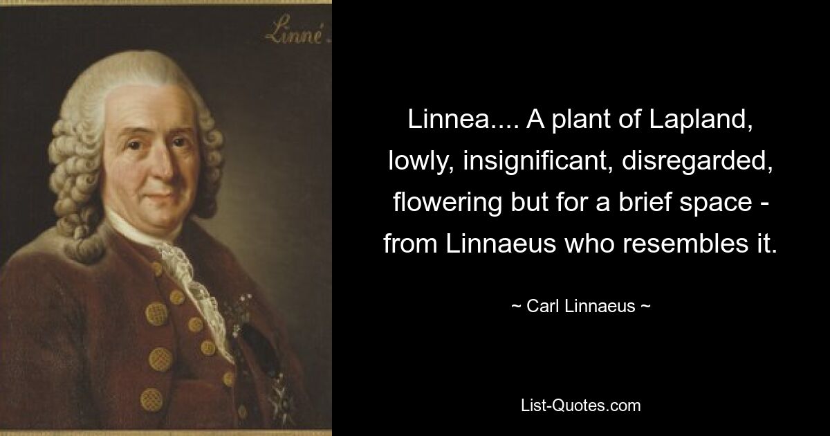 Linnea.... A plant of Lapland, lowly, insignificant, disregarded, flowering but for a brief space - from Linnaeus who resembles it. — © Carl Linnaeus