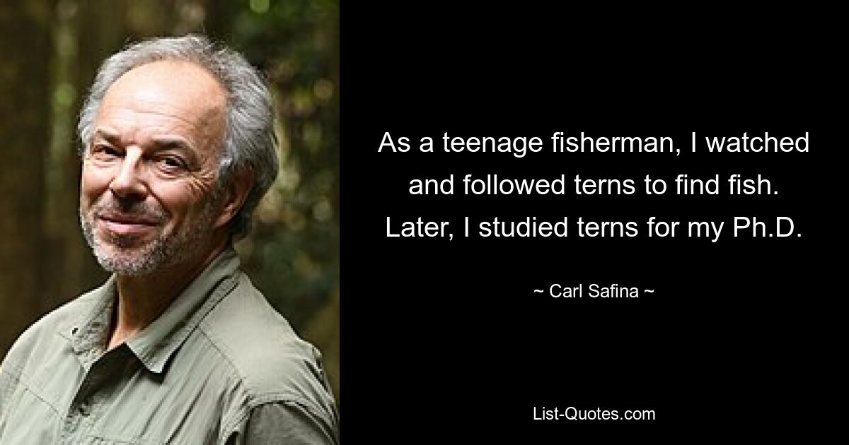 As a teenage fisherman, I watched and followed terns to find fish. Later, I studied terns for my Ph.D. — © Carl Safina