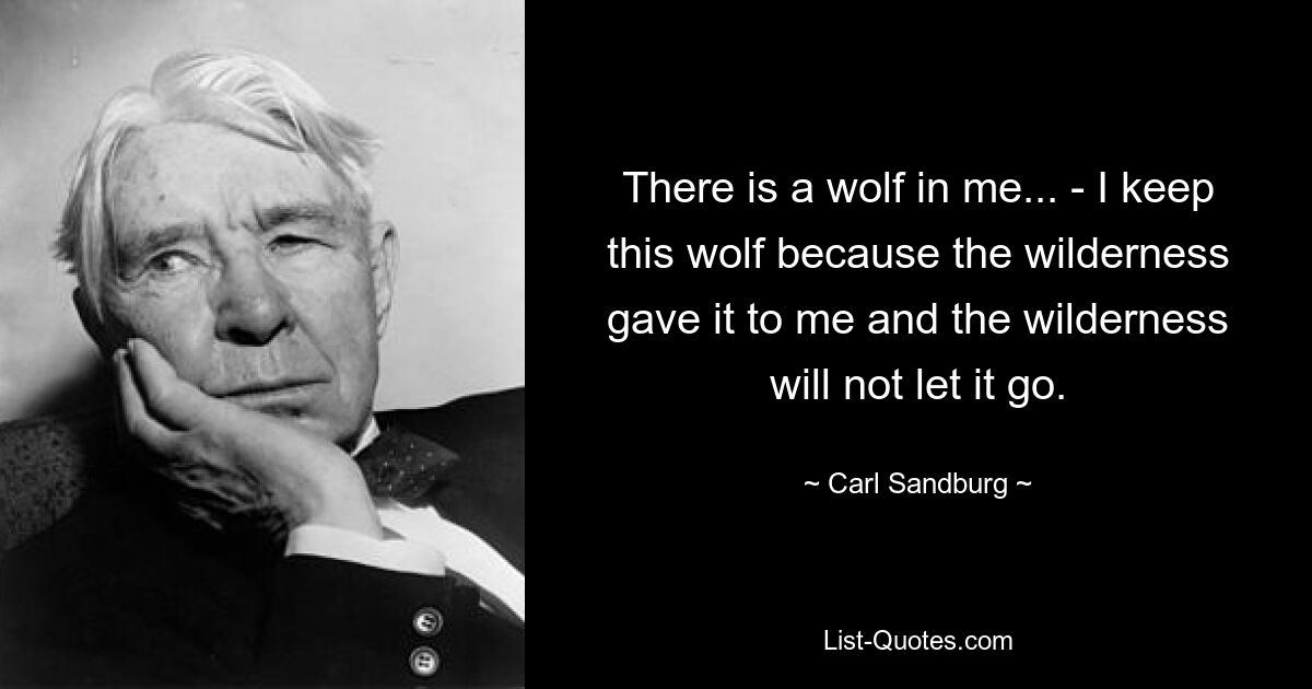 Во мне волк... - Я держу этого волка, потому что мне его дала глушь и глушь не отпускает. — © Карл Сандберг 