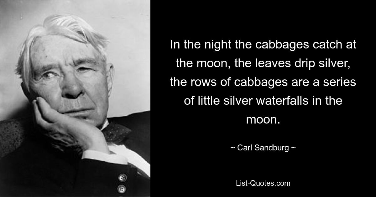 In the night the cabbages catch at the moon, the leaves drip silver, the rows of cabbages are a series of little silver waterfalls in the moon. — © Carl Sandburg