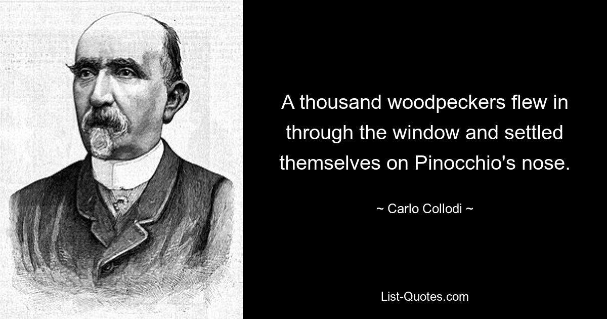 A thousand woodpeckers flew in through the window and settled themselves on Pinocchio's nose. — © Carlo Collodi